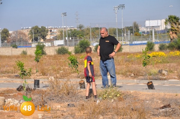 ashjar taso 0328 (39).JPG